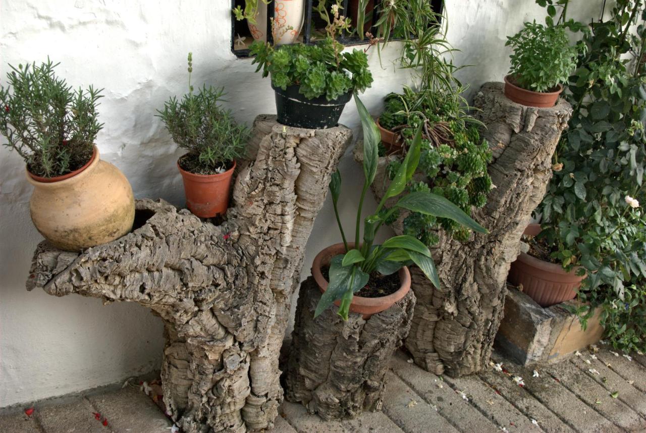 Cruzchiquita Villa Alpandeire Luaran gambar